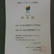VVeB[v[VF؏